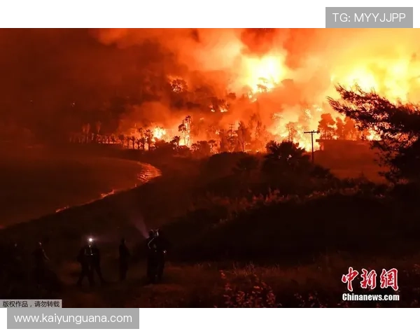 开云体育买波胆步骤避坑指南极速提现技巧